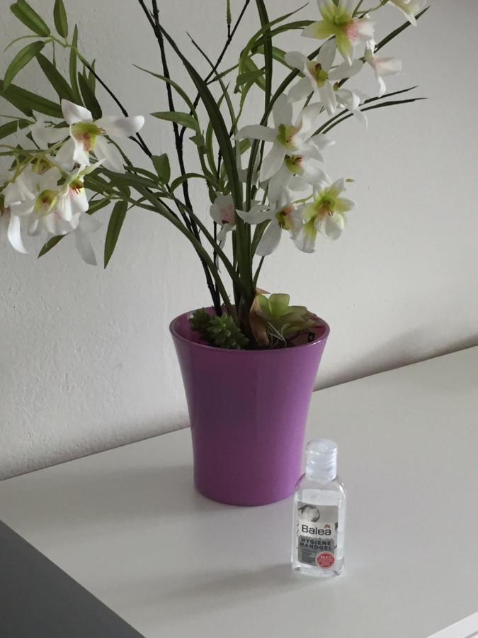 Ferienappartement Grocke 卡普伦 外观 照片
